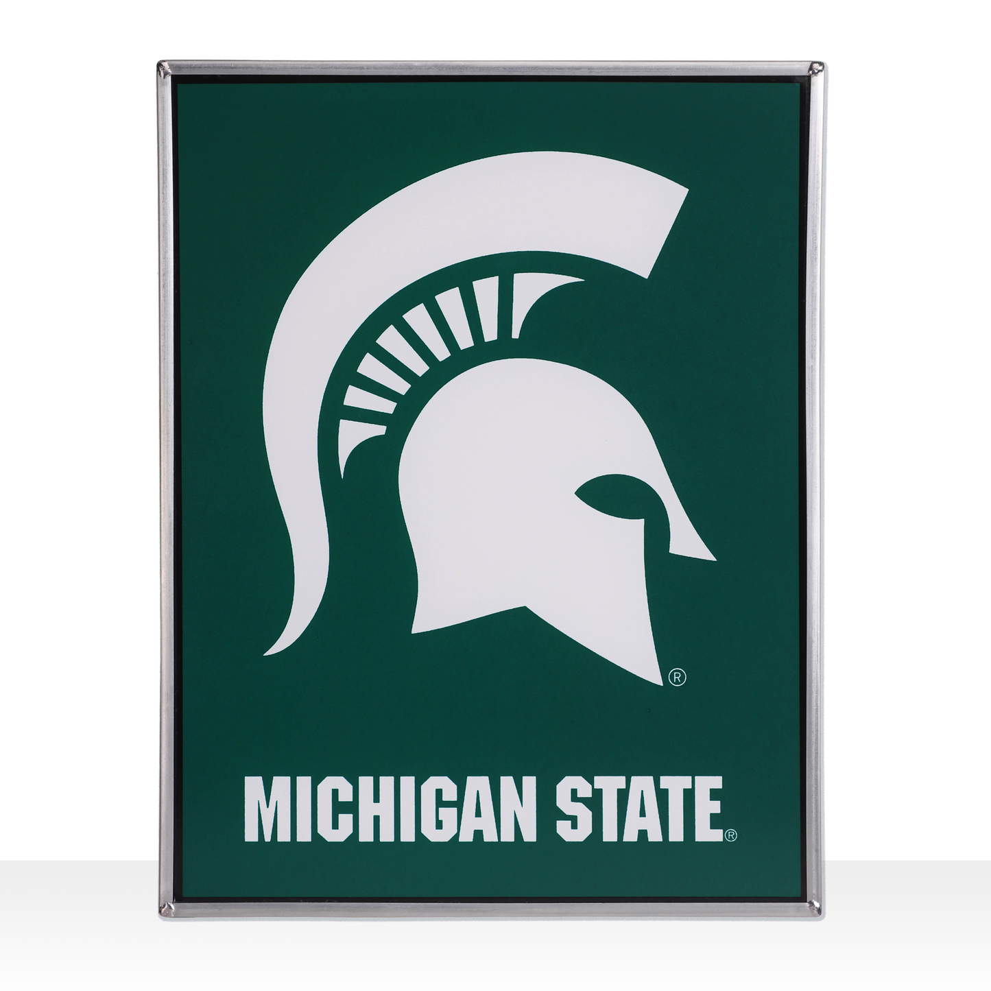 MSU Spartans glass sun catcher