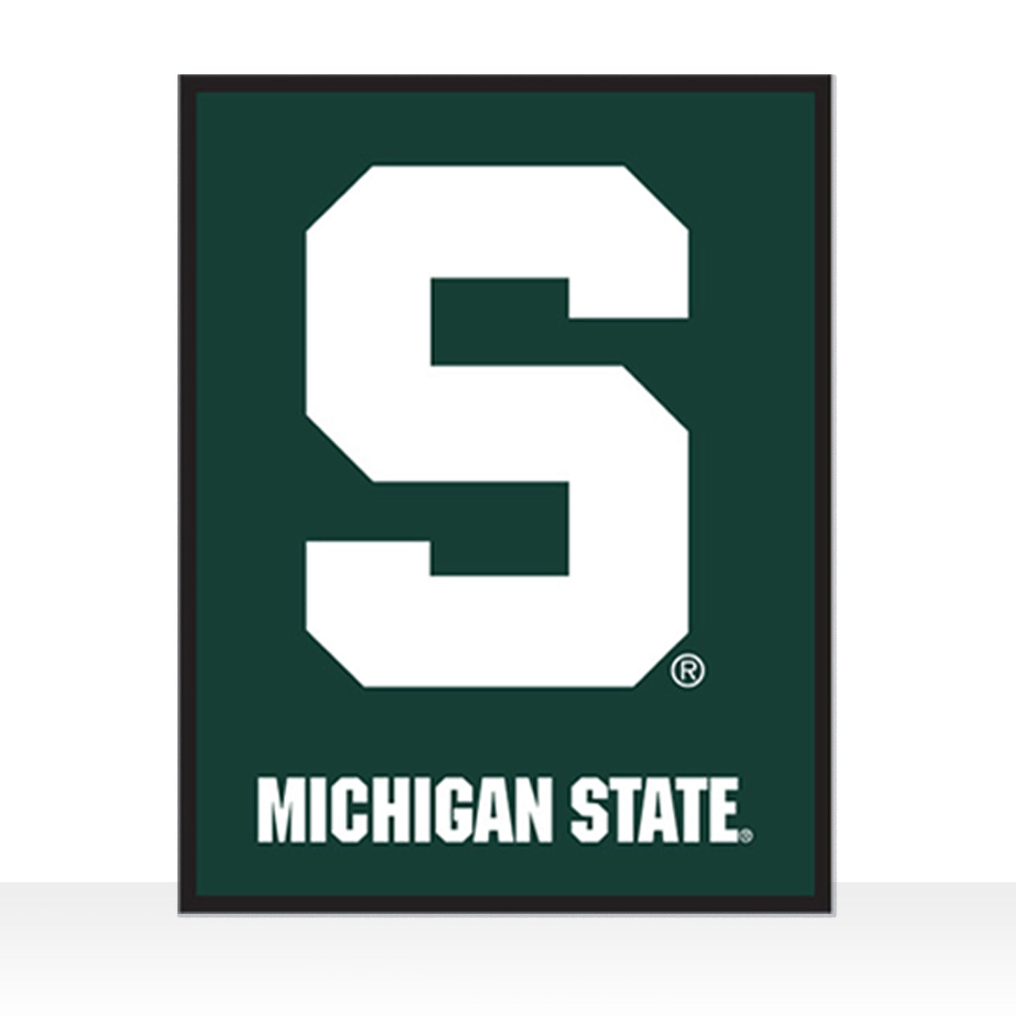 GM1241 Michigan State University Block S