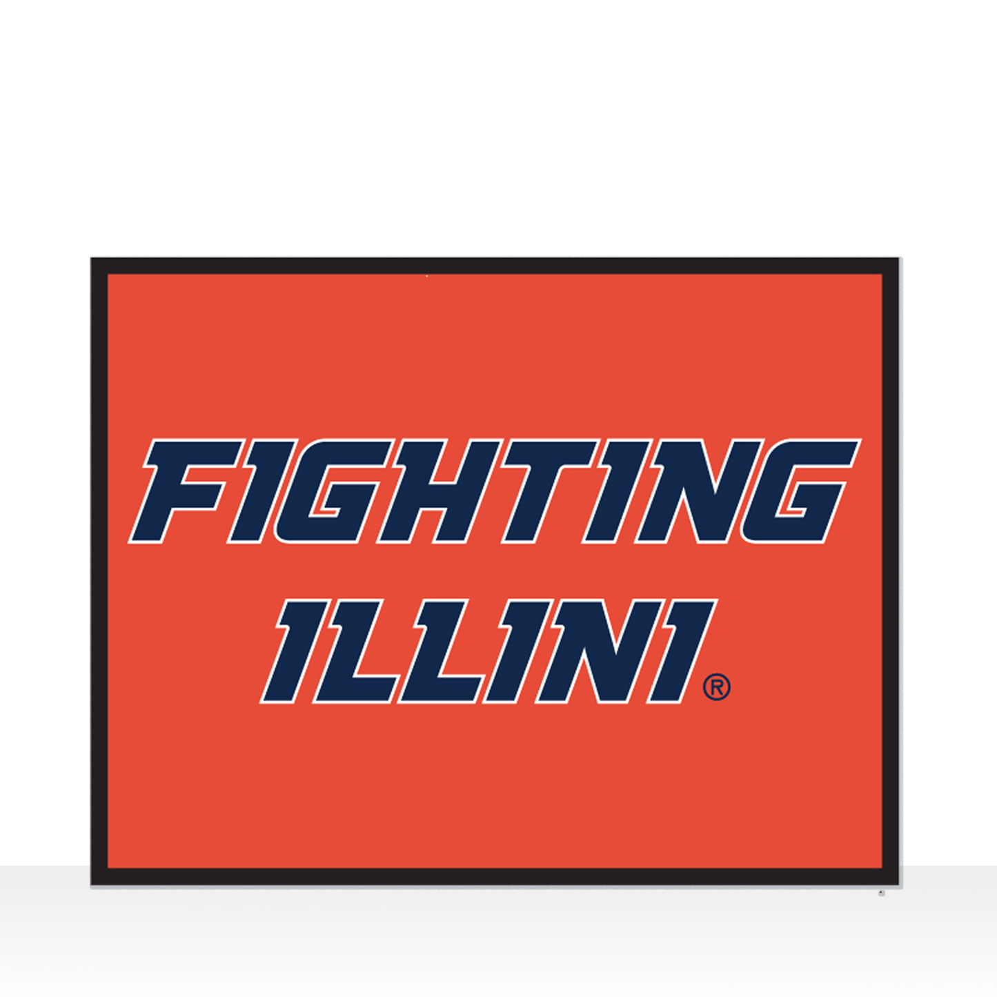 GM1234 University of Illinois  Fighting Illini