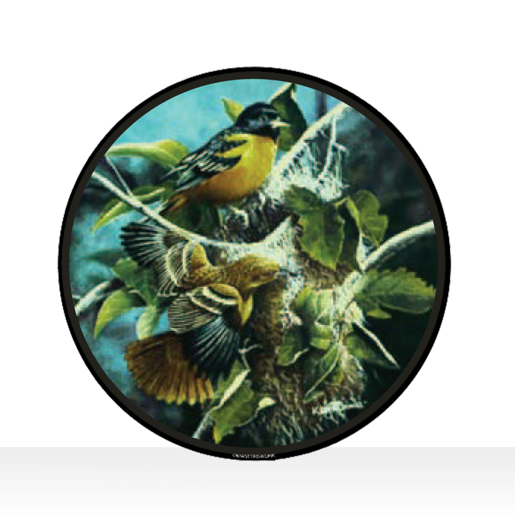 Orioles Glassmasters Stained Glass Studio GlassmastersStainedGlassStudio